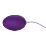 Image de Pocket Exotics Waterproof Egg - Purple